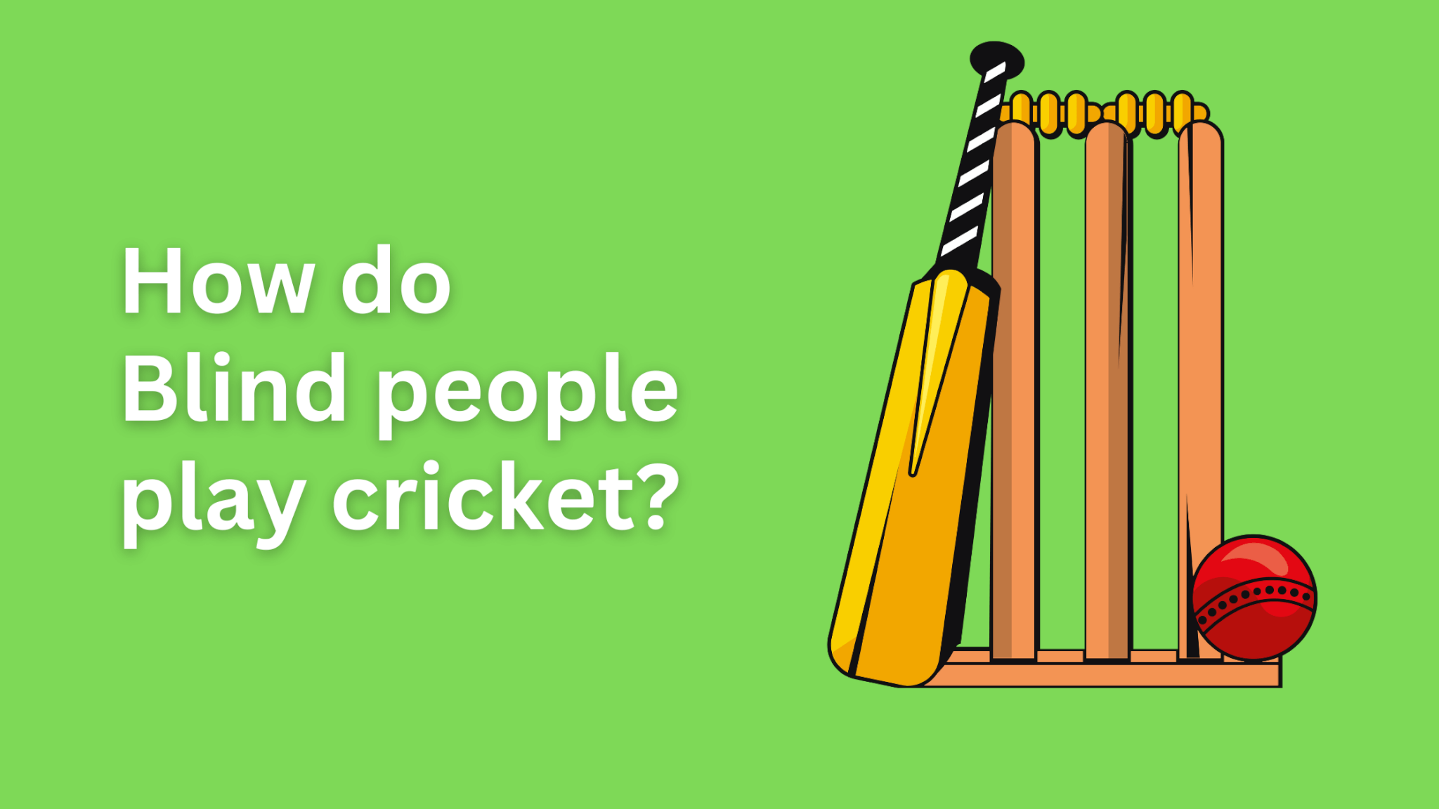 Banner image featuring cricket stumps, a bat, and a ball, representing the blog titled 'How Do Blind People Play Cricket ?""